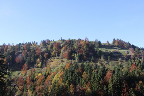 Was Goethe sah – Bild 2 von 17